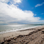 Horseneck Beach
